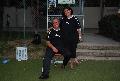 Championnat 2011