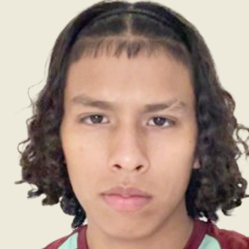 H. ANDREY CRISTHIANO